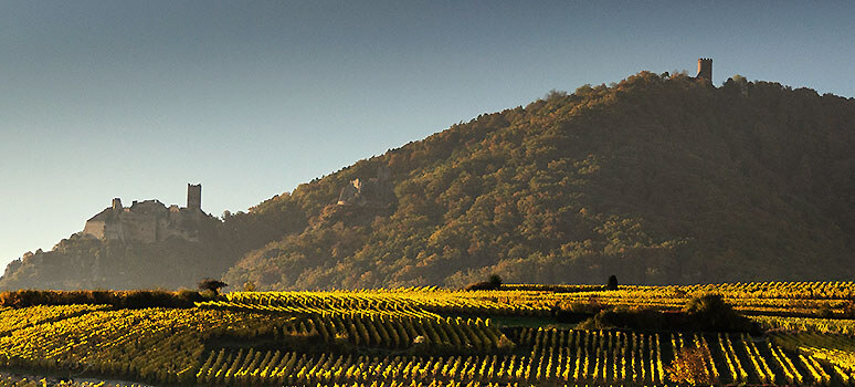 Les châteaux forts d'Alsace